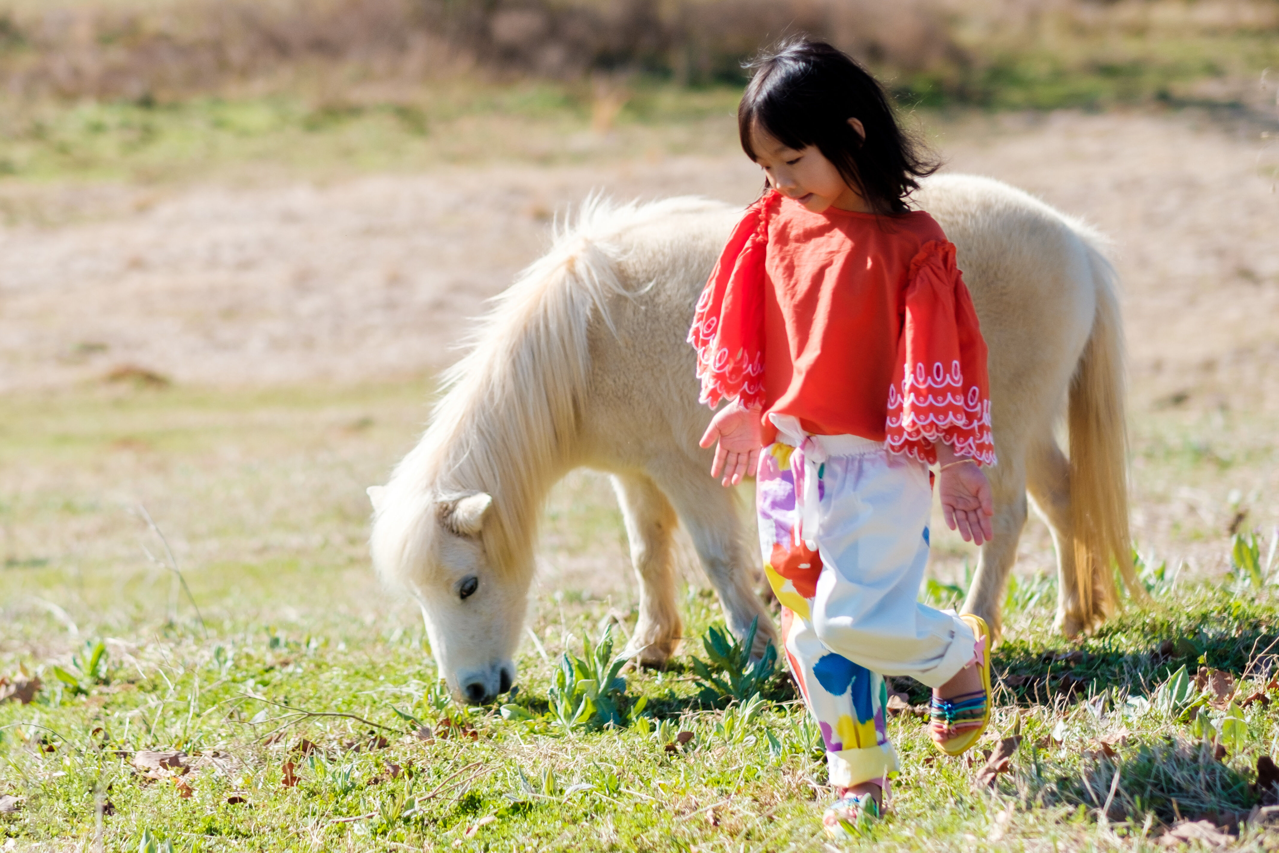 Nini Nguyen’s daughter Sage with their horse Pickle